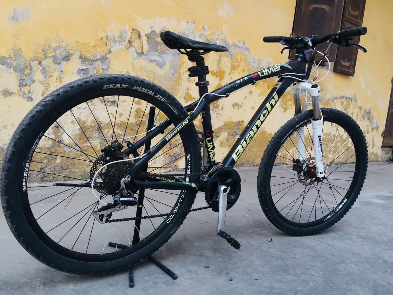 Bianchi 2024 kuma 4650